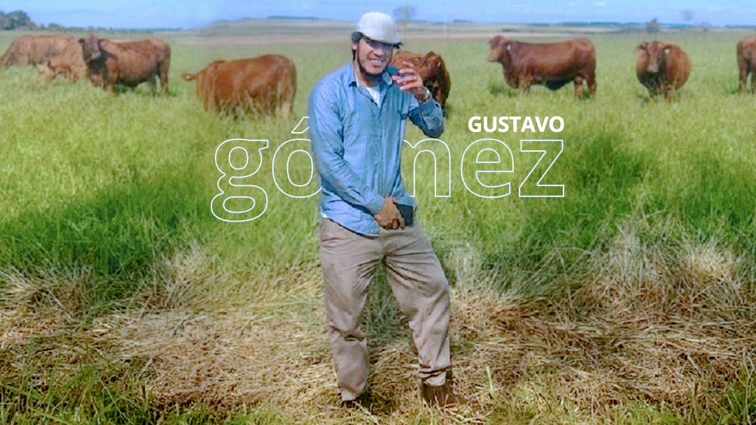 Gustavo Gómez Beque de Fazenda 2 - ge