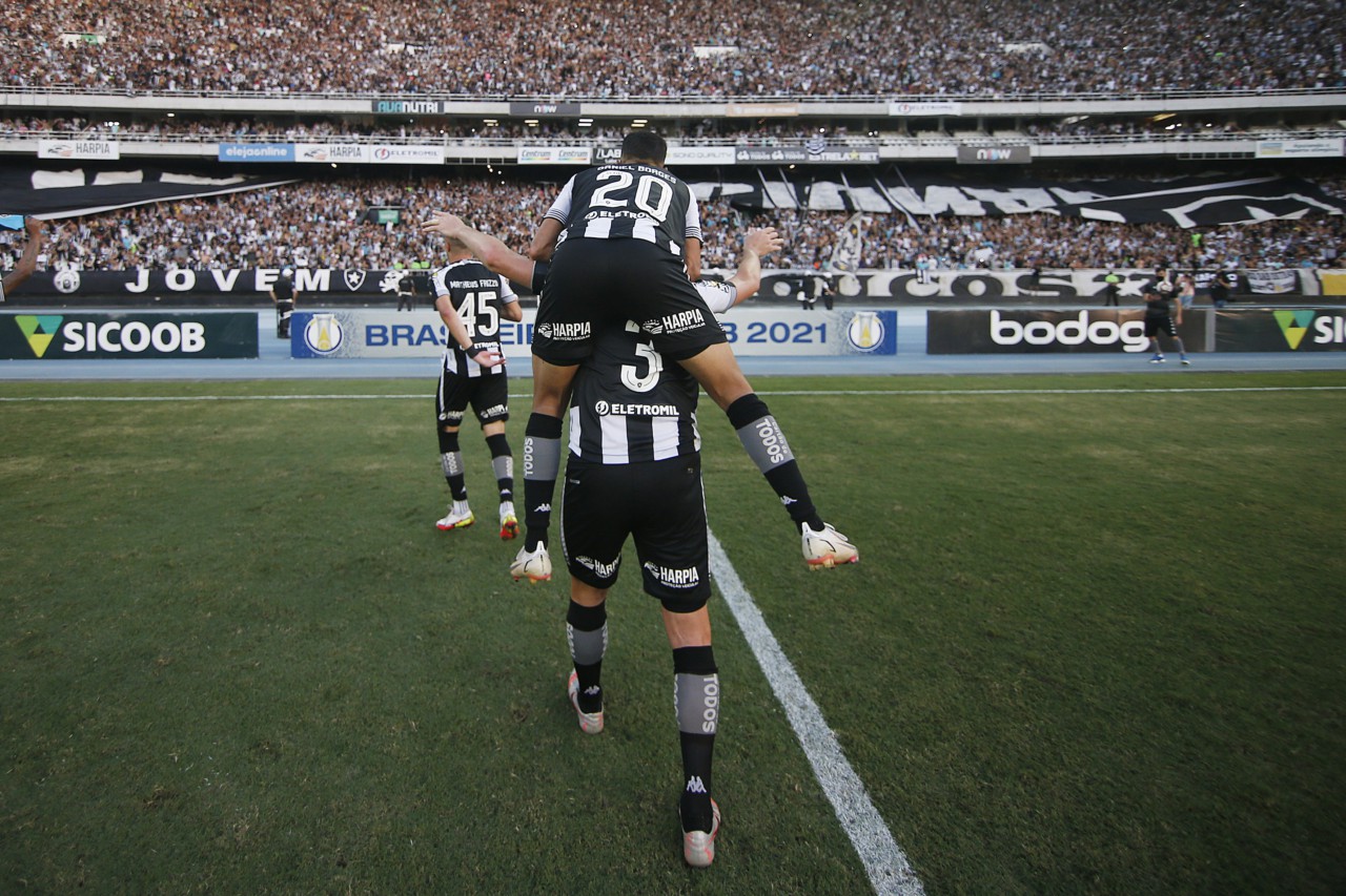 Botafogo conquistou o acesso da Série B no Nilton Santos - Vitor Silva/Botafogo