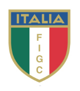 O escudo da federação trazia pela primeira vez em Copas a sigla da Federazione Italiana Giuoco Calcio, que significa Federação Italiana de Futebol.