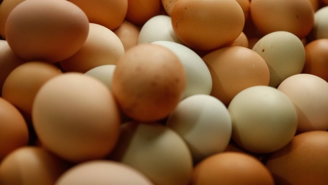 O ovo foi o produto que apresentou a maior variação de preço, com índice de 202,13% acima da inflação oficial