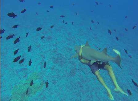 Corajoso, turista nadou abraçado a tubarão em Bora-Bora
