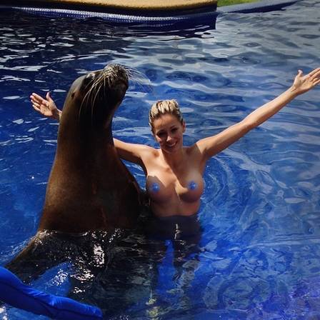 Segundo o playboy, um amigo levou uma foca e colocou em sua piscina