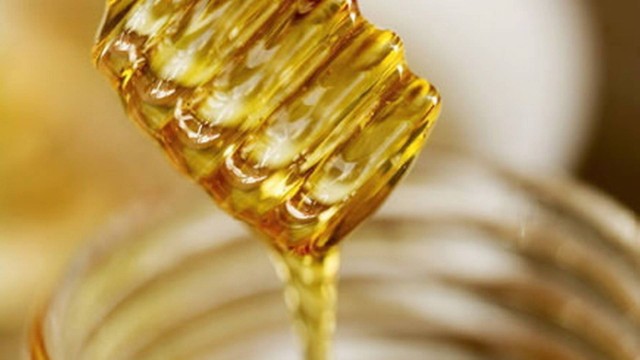 Mel de abelha: base da dieta