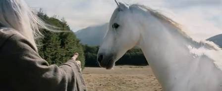 Cavalo que interpretou Scadufax em ‘O Senhor dos Anéis’ morre: animal estava doente e foi sacrificado