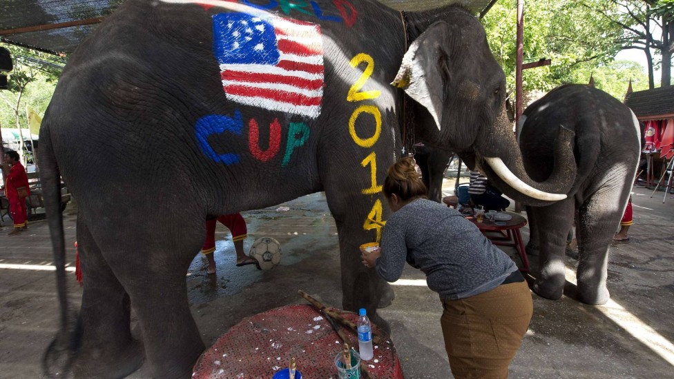 Elefante é pintado com o tema da Copa do Mundo, na Tailândia