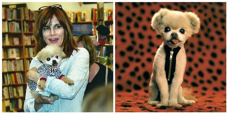 A fotógrafa Lara Jo Regan ganhou projeção mundial na internet depois de fazer série de imagens fofas com o seu cachorrinho Winkle