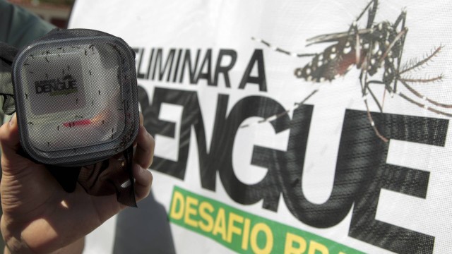 O perigo do Aedes: estudo de campo com mosquitos, realizado pela Fiocruz: no Rio, suspeita de casos no primeiro trimestre é três vezes maior que no mesmo período do ano passado