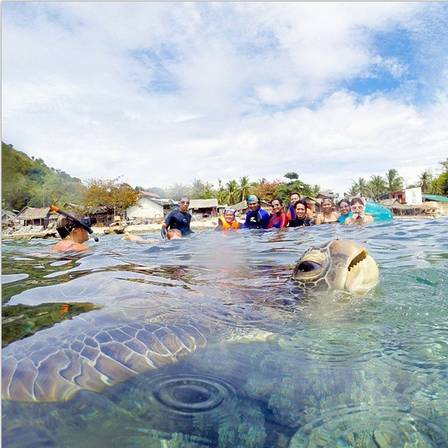 Participação especial: uma tartaruga marinha rouba a cena em foto de mergulhadores