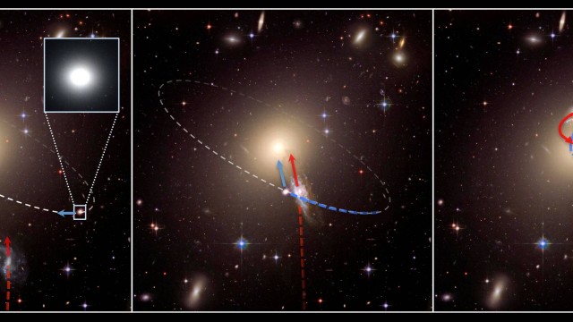 Ilustração do Centro Harvard-Smithsonian de Astrofísica mostra como a chegada de uma terceira galáxia a um sistema composto por uma galáxia elíptica gigante e uma pequena gláxia elíptica compacta em sua órbita pode lançar a galáxia menor em grande velocidade para foram do aglomerado rumo ao isolamento
