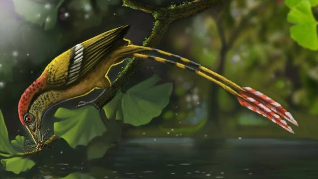 Ilustração da ave encontrada no Ceará: espécie viveu há 115 milhões de anos