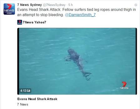 Tubarão flagrado na praia de Main Beach, em Evans Head, na Austrália, que pode ter atacado o surfista australiano