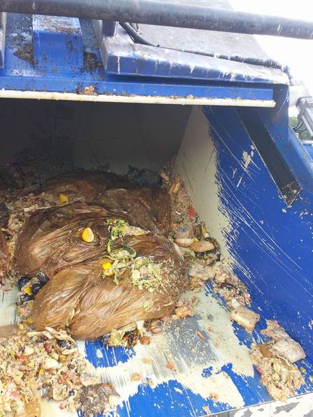 O filhote estava entre quatro ou cinco toneladas de lixo que seguiam para a incineração.