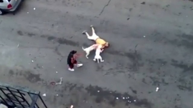 Cães atacam homem em rua de Nova York