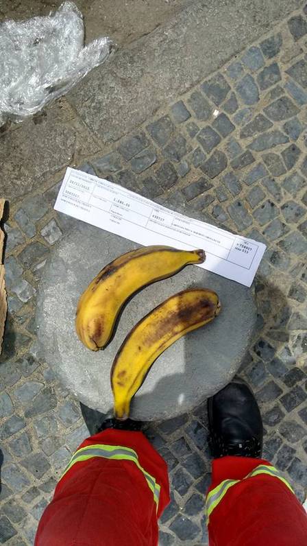 As bananas que foram entregues pelo gerente
