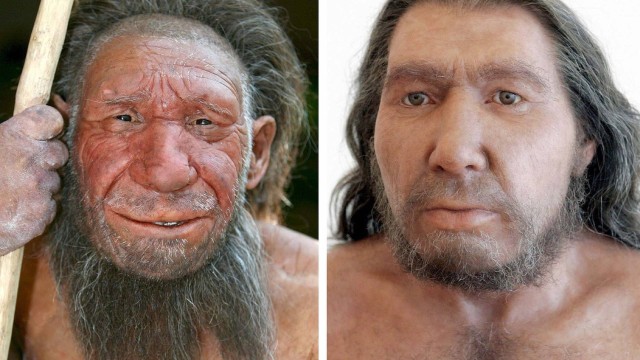 Reconstruções da aparência de dois indivíduos neandertais do Museu Neandertal de Mettmann, na Alemanha: miscigenação com humanos modernos deixou marcas em nosso genoma que influenciam funcionamento do sistema imune