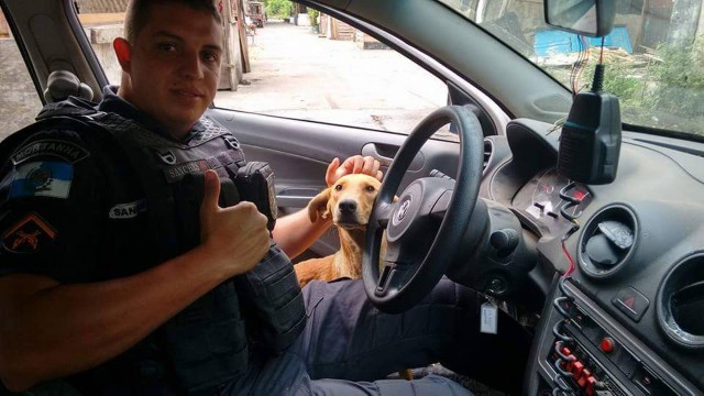 Maré Zerp faz parte de um grupo de cães da comunidade que recebe os cuidados de policiais da UPP.