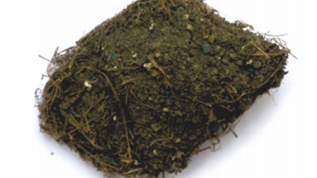 Material de revestimento coletado em um dos templos com as fibras de cannabis