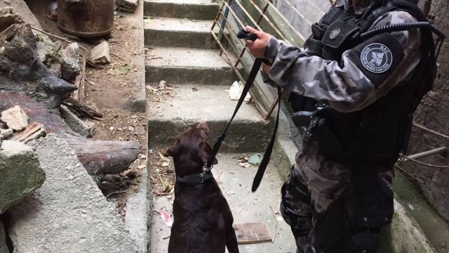 Policial do Batalhão de Ações com Cães (BAC) em operação na Rocinha