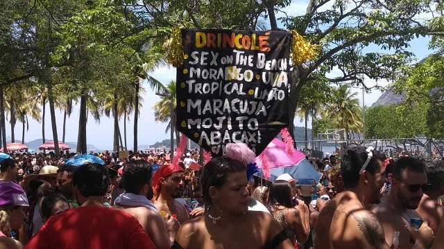 Bloco Truque do Desejo reúne foliões no Aterro do Flamengo