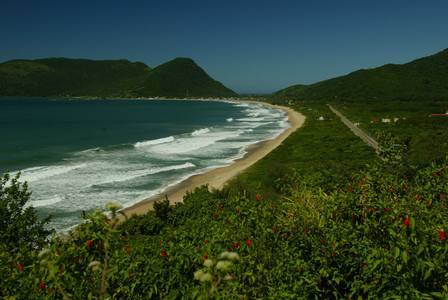 Praia da Armação, em Florianópolis
