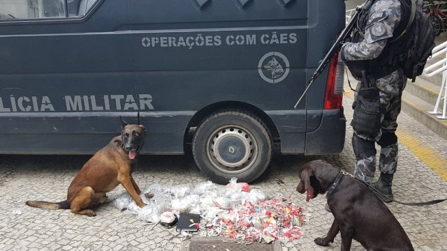 Cães da PM ao lado de drogas e caderno de anotação de traficantes apreendidos durante operação no Pavãozinho