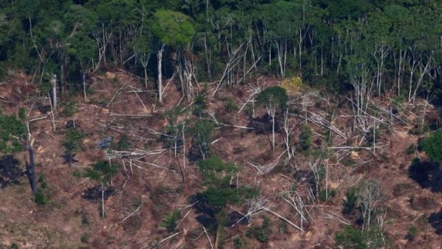 Desmatamento na Floresta Nacional Jamanxim, próximo a Novo Progresso (PA)