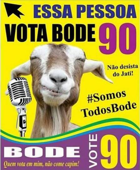 Bode 90 foi 'candidato' nas últimas eleições.