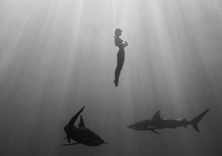 Marisa Papen com tubarões no Havaí