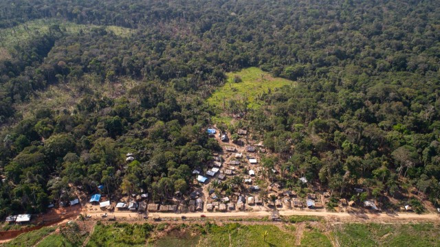 Assentamento cresce em floresta em Rondônia