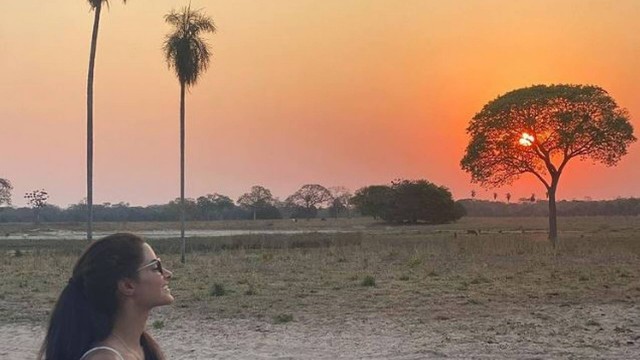 Leticia Salles filma jacaré e sucuri pelo caminho no Pantanal