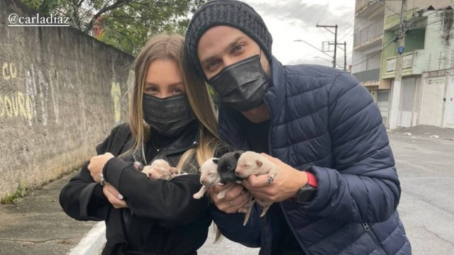 Carla Diaz e vereador resgatam cachorrinhos em SP