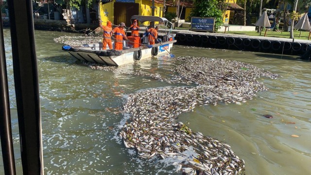 Peixes mortos sendo recolhidos por garis no Canal de Marapendi, na Barra da Tijuca