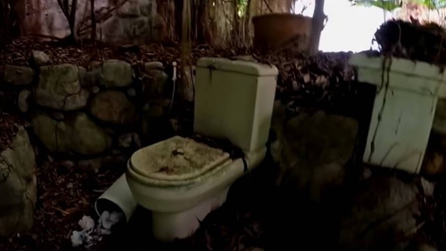 Clodovil fez um banheiro ao ar livre que era grande atração da casa: vaso foi vendidopor R$ 30