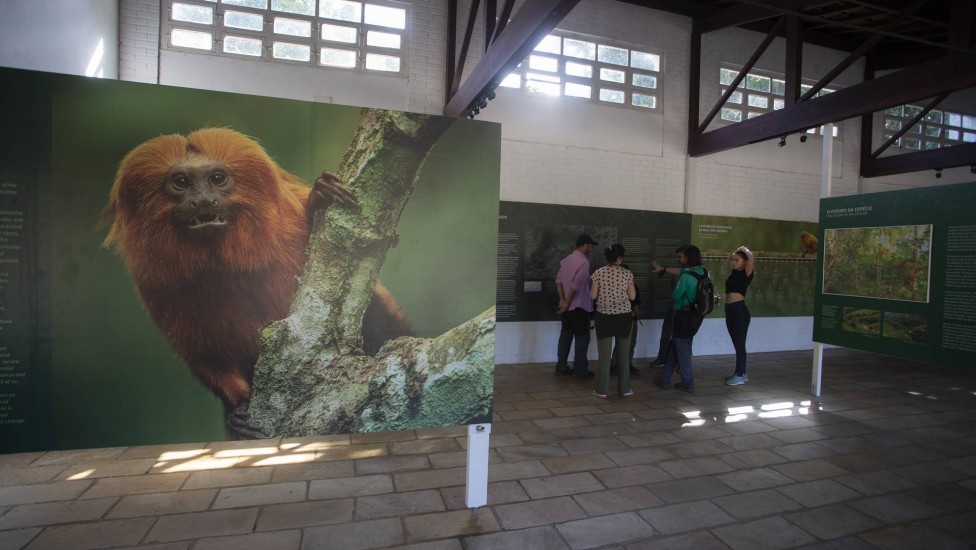 O novo parque ecológico conta com sala de exposição