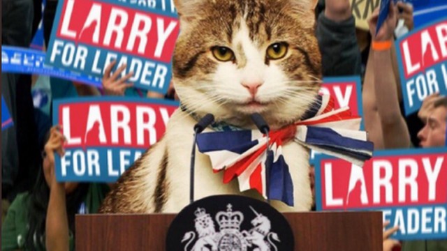 Larry, o gato, vai servir ao quinto primeiro-ministro que ocupará a residência oficial do governo britânico desde que ele foi adotado