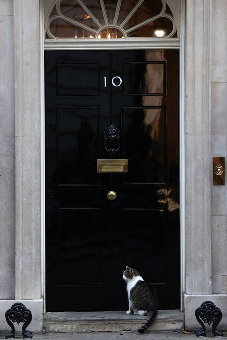Larry, o gato, do lado de fora da residência oficial do governo britânico em 18 de outubro de 2022
