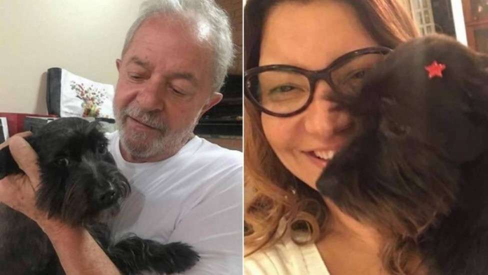 Resistência, a cachorrinha de Lula e Janja
