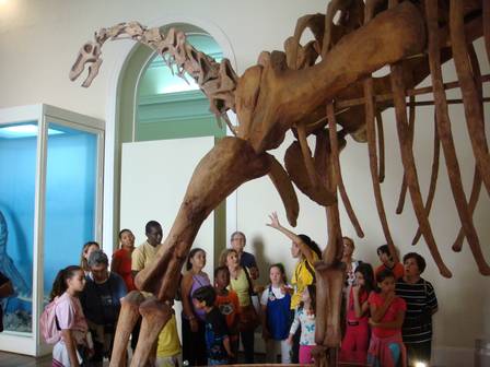 Visitantes conferem um esqueleto de dinossauro