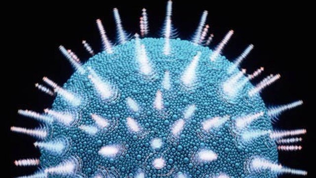 Ilustração do vírus HIV. Anticorpo mapeado por pesquisadores americanos é capaz de neutralizar 55% das variações conhecidas da cepa causadora da Aids