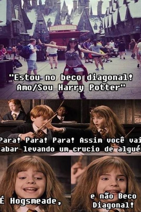 Fãs de Harry Potter - Brasil - A beleza falou mais alto! hahaha