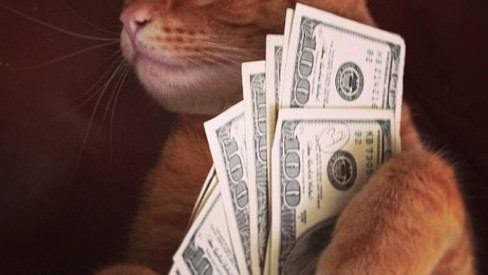 Coloque algum dinheiro no gatinho com Cats and Cash!