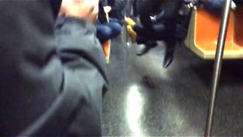 Rato gigante aterroriza passageiros do metrô de Nova York; vídeo - Mundo -  Extra Online