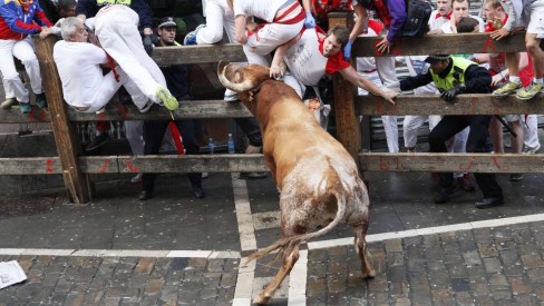 PDF) O que a corrida de touros andamarquina pode nos dizer sobre as  relações entre humanos e animais nos Andes peruanos?