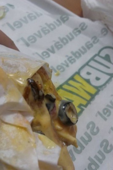 Vídeo: tiktoker encontra barata em Subway e imagens viralizaram