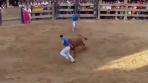 Homem morre após ser chifrado por touro em festival na Espanha