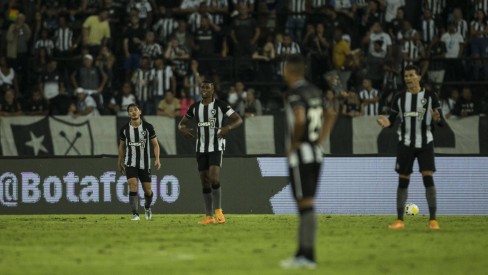 Botafogo de Futebol e Regatas - Guia da Partida