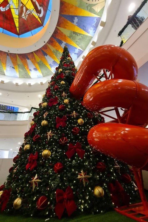 Roda-gigante da Galinha Pintadinha - Jardim Norte