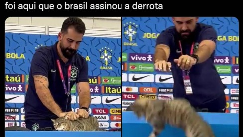 JOGO DO GATO - iFunny Brazil