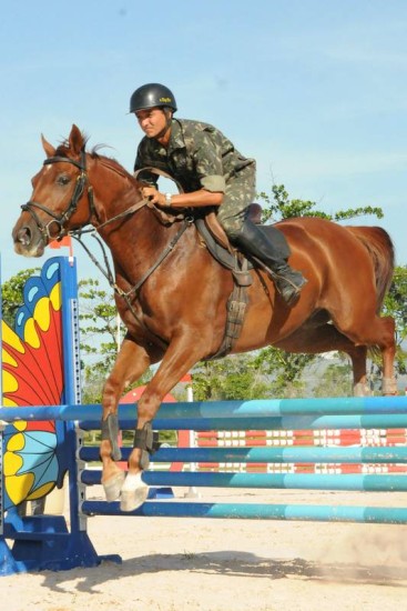 Cavalos atletas: conheça os nomes consagrados do hipismo na