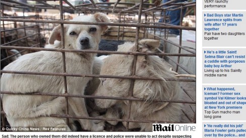 LigadoNoMundo - Tabuleiro do War tem regiões esquisitonas (e reais) que até  deram nome para cachorro - 24/08/2017 - UOL Notícias